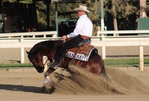 Galligan Performance Horses